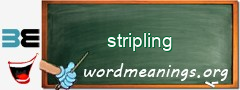 WordMeaning blackboard for stripling